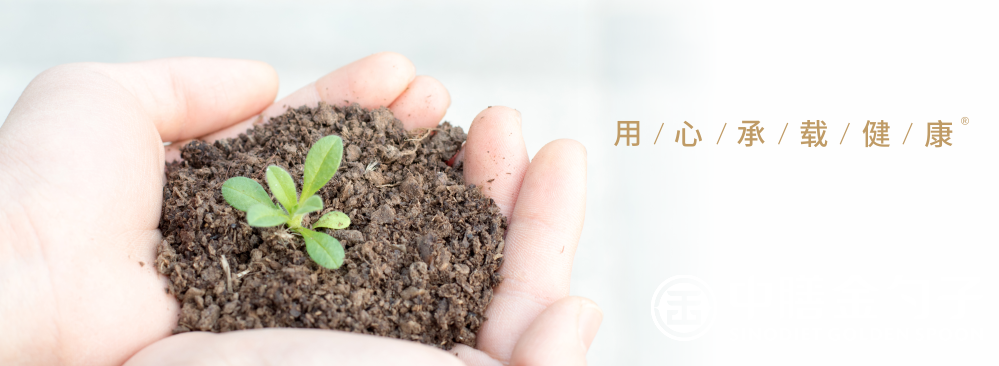 1654495447225535.png 頂關(guān)注.png